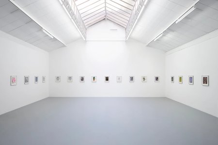 Immaterial Figures and Forces