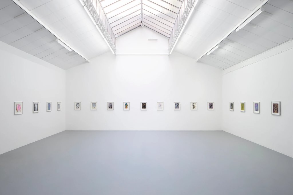 Immaterial Figures and Forces
